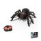 Mega Tarantula távirányítós pók 26,5x24x8cm 052800