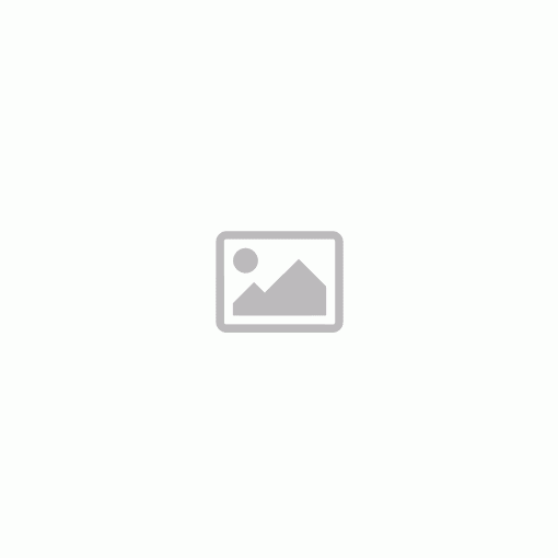 Hidraulikus olajemelő  2 tonnás 47028