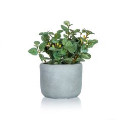   HOME DECOR Műnövény beton kaspóban – EUCALYPTUS, 19 x 18 cm 63935051