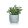 HOME DECOR Műnövény beton kaspóban – EUCALYPTUS, 19 x 18 cm 63935051