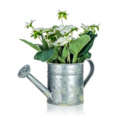  HOME DECOR Művirág bádog kaspóban, BEGONIA, 17 x 15 cm 63935063