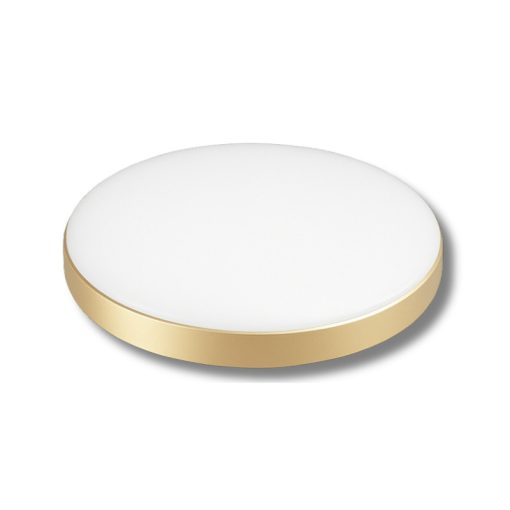 LED Mennyezeti Lámpa – 18W D-230
