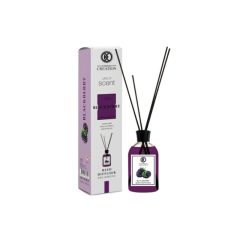 BLACKBERRY Illatosító pálcikákkal – 50 ml KR024